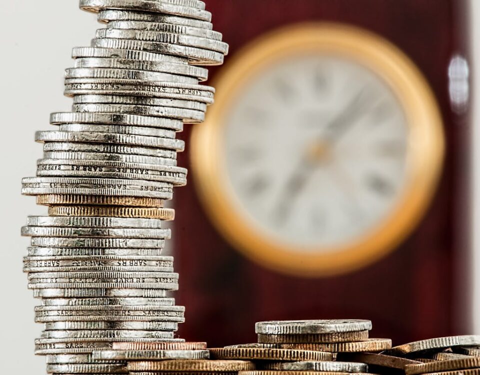 Economia Doméstica: Evitando Gastos Desnecessários Economia Doméstica