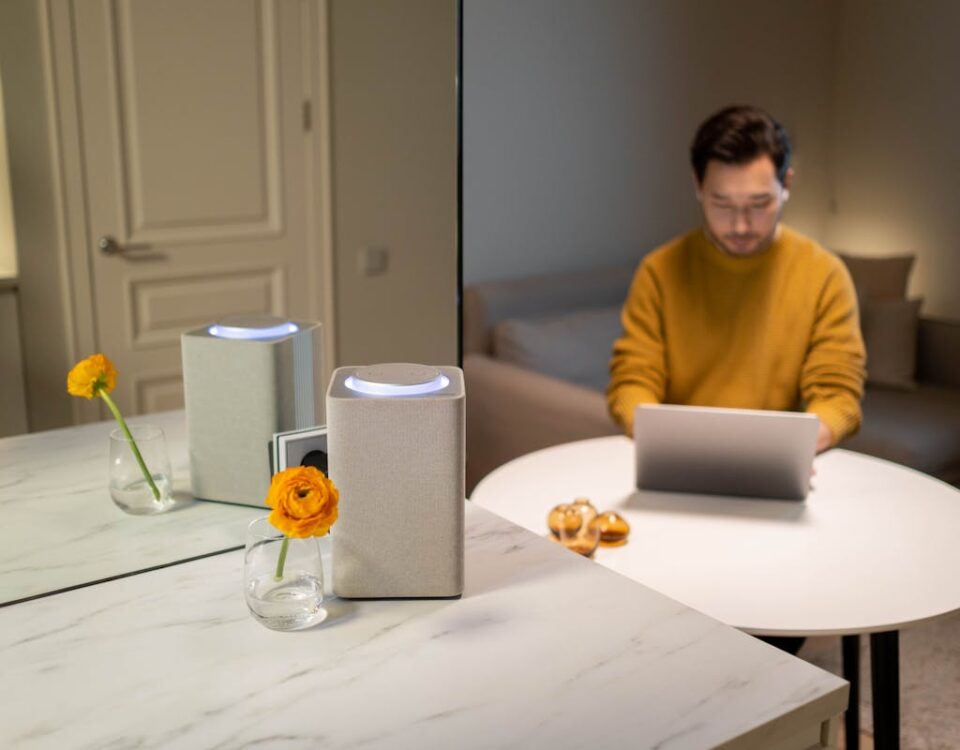 Economia Doméstica: os assistentes virtuais podem ajudar Economia Doméstica: os assistentes virtuais podem ajudar