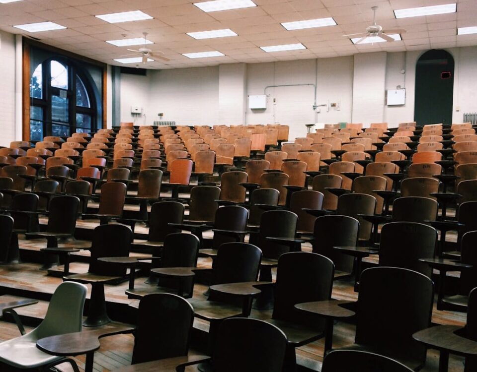 Ensino superior vale o custo? Descubra a relação com o sucesso financeiro Room Chair Lot