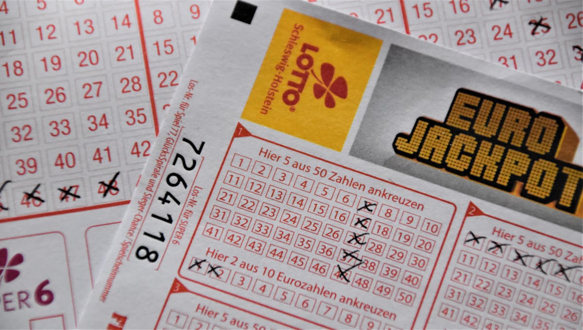 Jogo do Bicho: conheça dicas e riscos das apostas Close-up Photo of Lottery Ticket