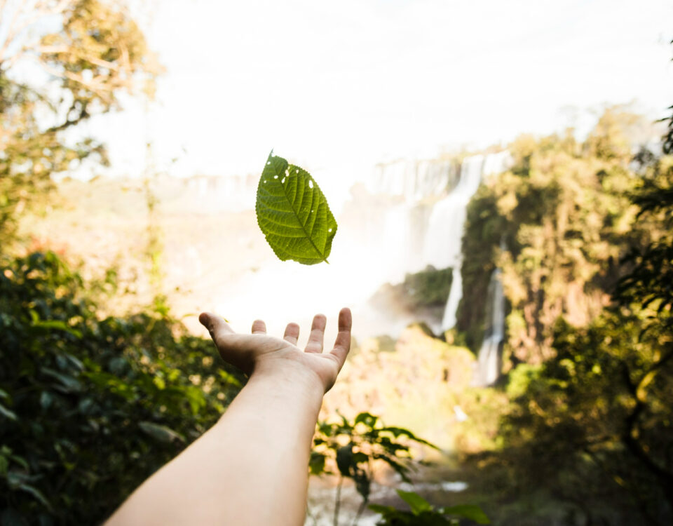 Sustentabilidade também reduz gastos? Sustentabilidade também reduz gastos?