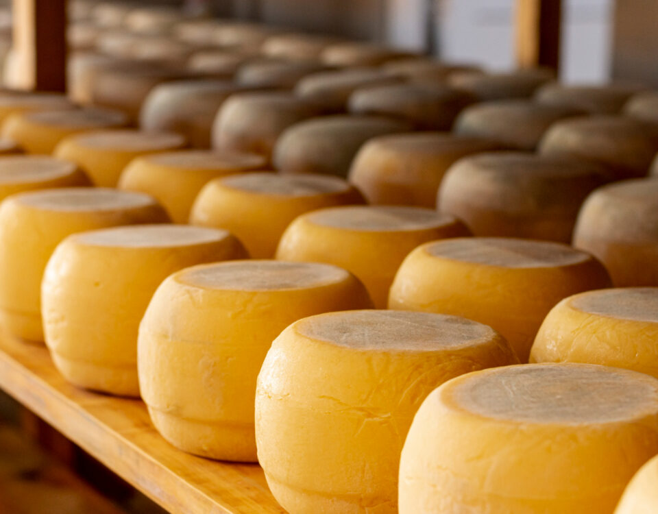 Queijo é investimento? Veja como o mercado gourmet cresce Queijo é investimento? Veja como o mercado gourmet cresce