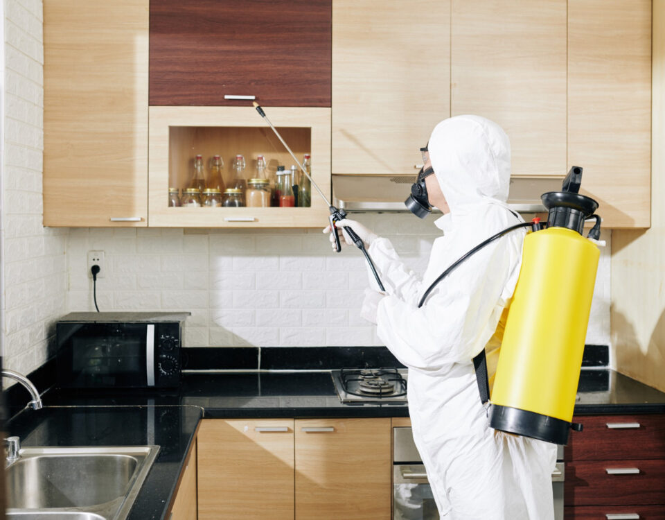 Quanto custa eliminar baratinhas definitivamente