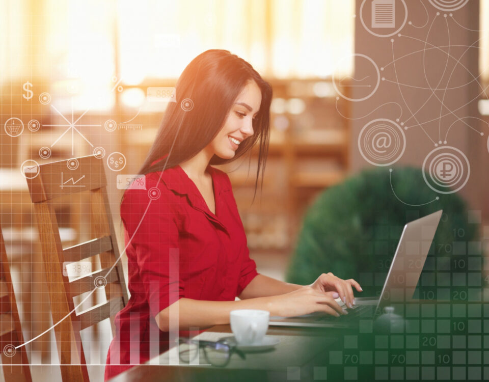 How to profit from a software sales website