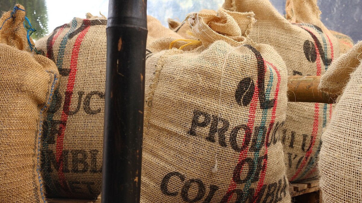 Café de 250 g ou 1 kg: qual compensa mais sem perder frescor? Sacas de café de juta empilhadas