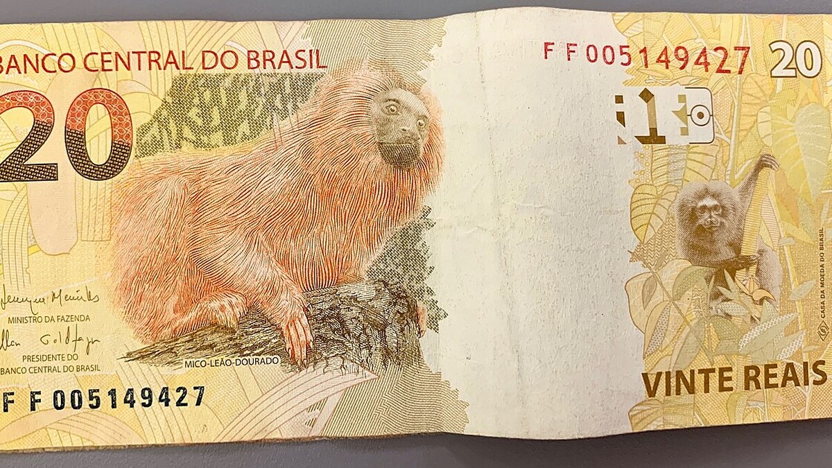 Cédula de 20 reais apoiada sobre uma mesa