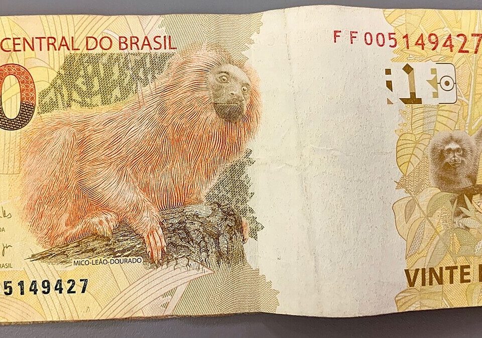 Cédula de 20 reais com o mico-leão-dourado